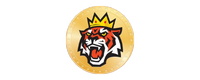 Tiger King Coin Logosu